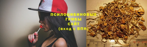 экстази Богданович