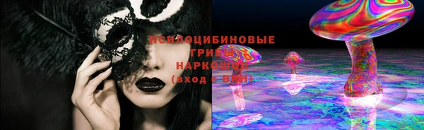 ПСИЛОЦИБИНОВЫЕ ГРИБЫ Богородск