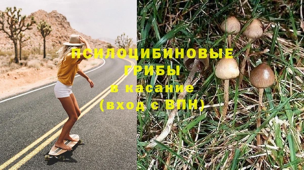 ПСИЛОЦИБИНОВЫЕ ГРИБЫ Богородск